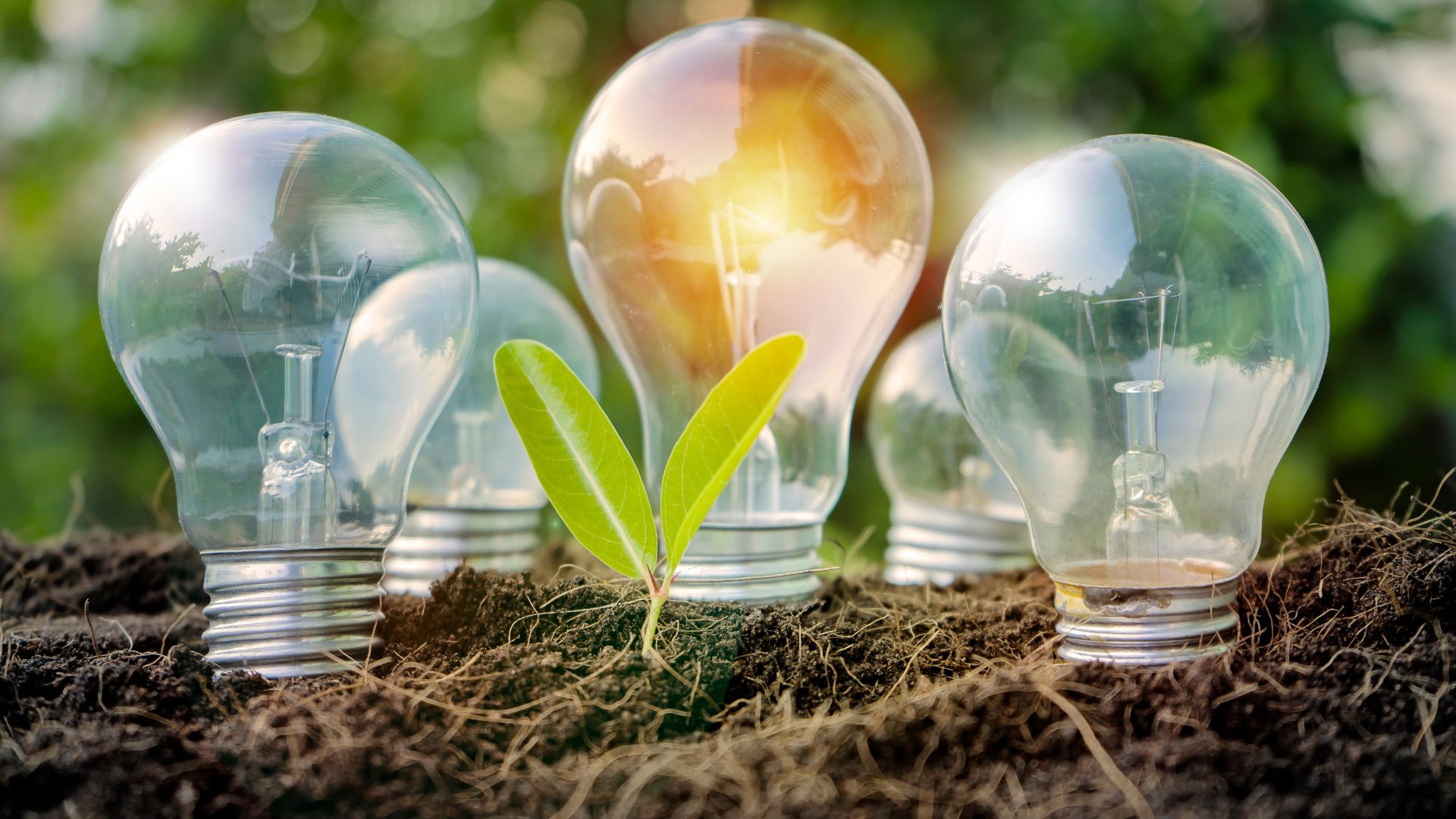 Lee más sobre el artículo La mejor tarifa eléctrica