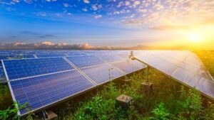 Lee más sobre el artículo Distribuidor Total Energies